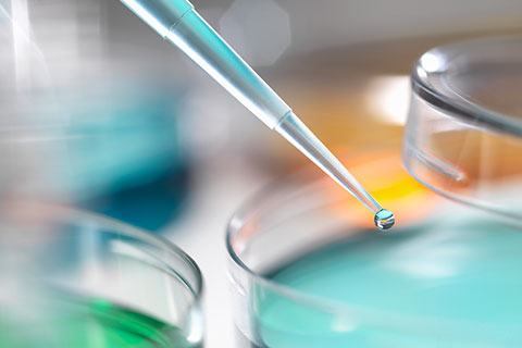 Biotech春天来了：最大收购案一触即发
